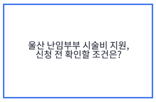 울산 난임부부 시술비 지원, 신청 전 확인할 조건은?