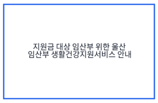 지원금 대상 임산부 위한 울산 임산부 생활건강지원서비스 안내