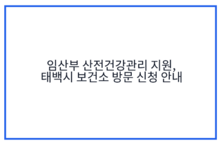 임산부 산전건강관리 지원, 태백시 보건소 방문 신청 안내