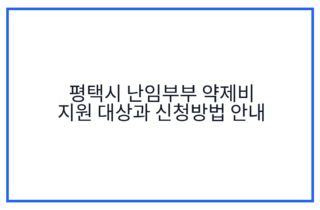 평택시 난임부부 약제비 지원 대상과 신청방법 안내