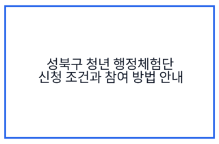 성북구 청년 행정체험단 신청 조건과 참여 방법 안내