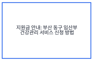 지원금 안내: 부산 동구 임산부 건강관리 서비스 신청 방법