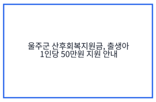 울주군 산후회복지원금, 출생아 1인당 50만원 지원 안내