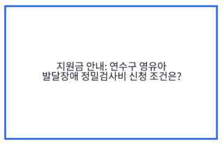 지원금 안내: 연수구 영유아 발달장애 정밀검사비 신청 조건은?
