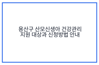 용산구 산모신생아 건강관리 지원 대상과 신청방법 안내