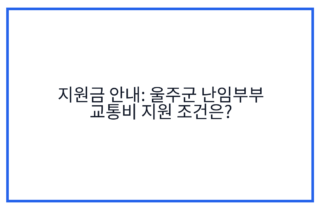 지원금 안내: 울주군 난임부부 교통비 지원 조건은?