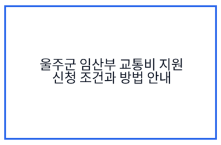 울주군 임산부 교통비 지원 신청 조건과 방법 안내