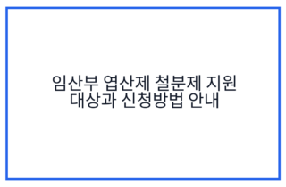 임산부 엽산제 철분제 지원 대상과 신청방법 안내