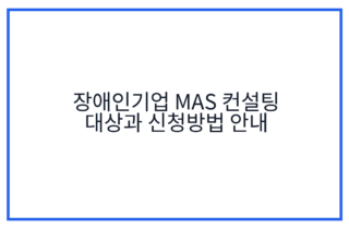 장애인기업 MAS 컨설팅 대상과 신청방법 안내