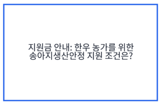 지원금 안내: 한우 농가를 위한 송아지생산안정 지원 조건은?