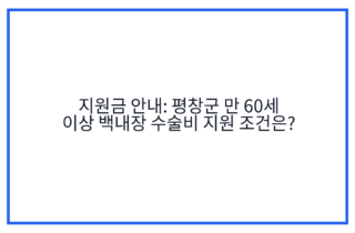 지원금 안내: 평창군 만 60세 이상 백내장 수술비 지원 조건은?