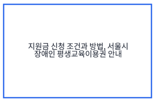 지원금 신청 조건과 방법, 서울시 장애인 평생교육이용권 안내