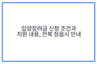 입양장려금 신청 조건과 지원 내용, 전북 정읍시 안내