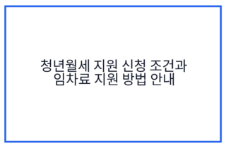 청년월세 지원 신청 조건과 임차료 지원 방법 안내