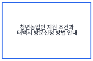 청년농업인 지원 조건과 태백시 방문신청 방법 안내