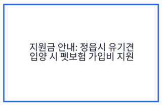 지원금 안내: 정읍시 유기견 입양 시 펫보험 가입비 지원