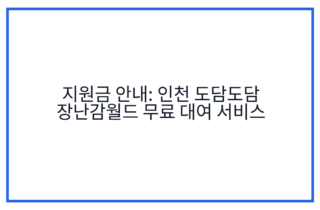 지원금 안내: 인천 도담도담 장난감월드 무료 대여 서비스