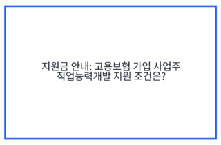 지원금 안내: 고용보험 가입 사업주 직업능력개발 지원 조건은?