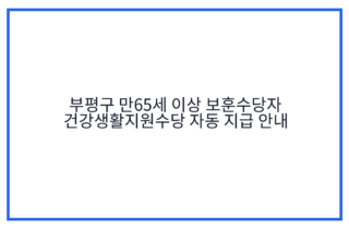 부평구 만65세 이상 보훈수당자 건강생활지원수당 자동 지급 안내