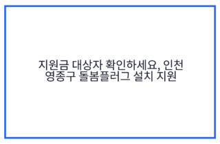 지원금 대상자 확인하세요, 인천 영종구 돌봄플러그 설치 지원