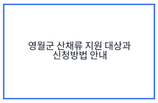 영월군 산채류 지원 대상과 신청방법 안내