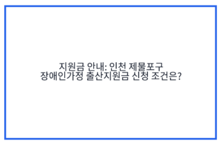 지원금 안내: 인천 제물포구 장애인가정 출산지원금 신청 조건은?