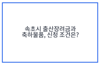 속초시 출산장려금과 축하물품, 신청 조건은?