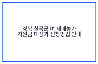 경북 칠곡군 벼 재배농가 지원금 대상과 신청방법 안내