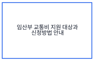 임산부 교통비 지원 대상과 신청방법 안내