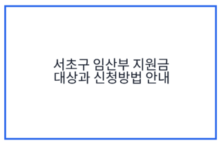 서초구 임산부 지원금 대상과 신청방법 안내