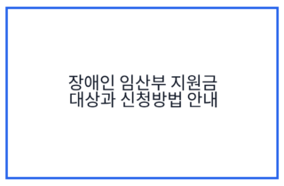 장애인 임산부 지원금 대상과 신청방법 안내