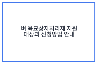 벼 육묘상자처리제 지원 대상과 신청방법 안내