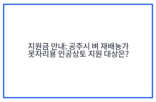 지원금 안내: 공주시 벼 재배농가 못자리용 인공상토 지원 대상은?