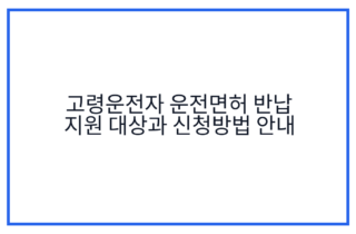 고령운전자 운전면허 반납 지원 대상과 신청방법 안내