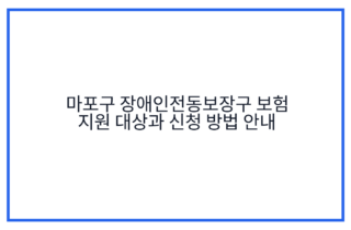 마포구 장애인전동보장구 보험 지원 대상과 신청 방법 안내