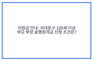 지원금 안내: 서대문구 100세 이상 부모 부양 효행장려금 신청 조건은?