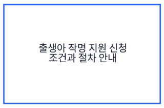 출생아 작명 지원 신청 조건과 절차 안내