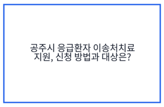 공주시 응급환자 이송처치료 지원, 신청 방법과 대상은?