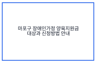 마포구 장애인가정 양육지원금 대상과 신청방법 안내
