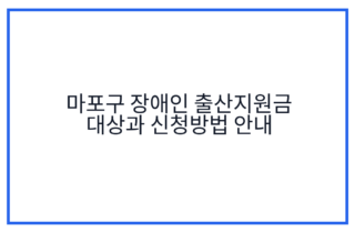마포구 장애인 출산지원금 대상과 신청방법 안내