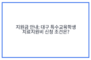 지원금 안내: 대구 특수교육학생 치료지원비 신청 조건은?