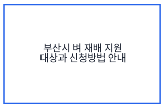 부산시 벼 재배 지원 대상과 신청방법 안내