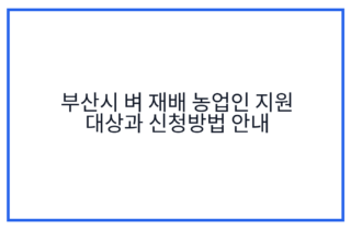 부산시 벼 재배 농업인 지원 대상과 신청방법 안내