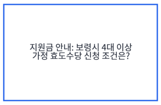 지원금 안내: 보령시 4대 이상 가정 효도수당 신청 조건은?