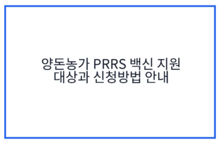 양돈농가 PRRS 백신 지원 대상과 신청방법 안내