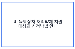 벼 육묘상자 처리약제 지원 대상과 신청방법 안내