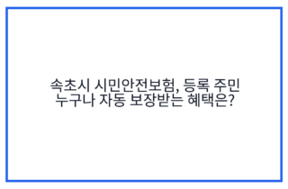속초시 시민안전보험, 등록 주민 누구나 자동 보장받는 혜택은?