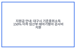 지원금 안내: 대구시 기준중위소득 150% 이하 임산부 태아기형아 검사비 지원