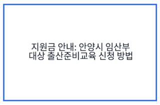 지원금 안내: 안양시 임산부 대상 출산준비교육 신청 방법