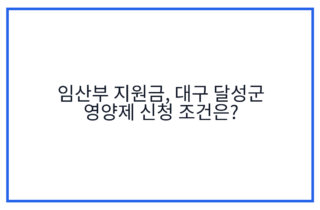 임산부 지원금, 대구 달성군 영양제 신청 조건은?